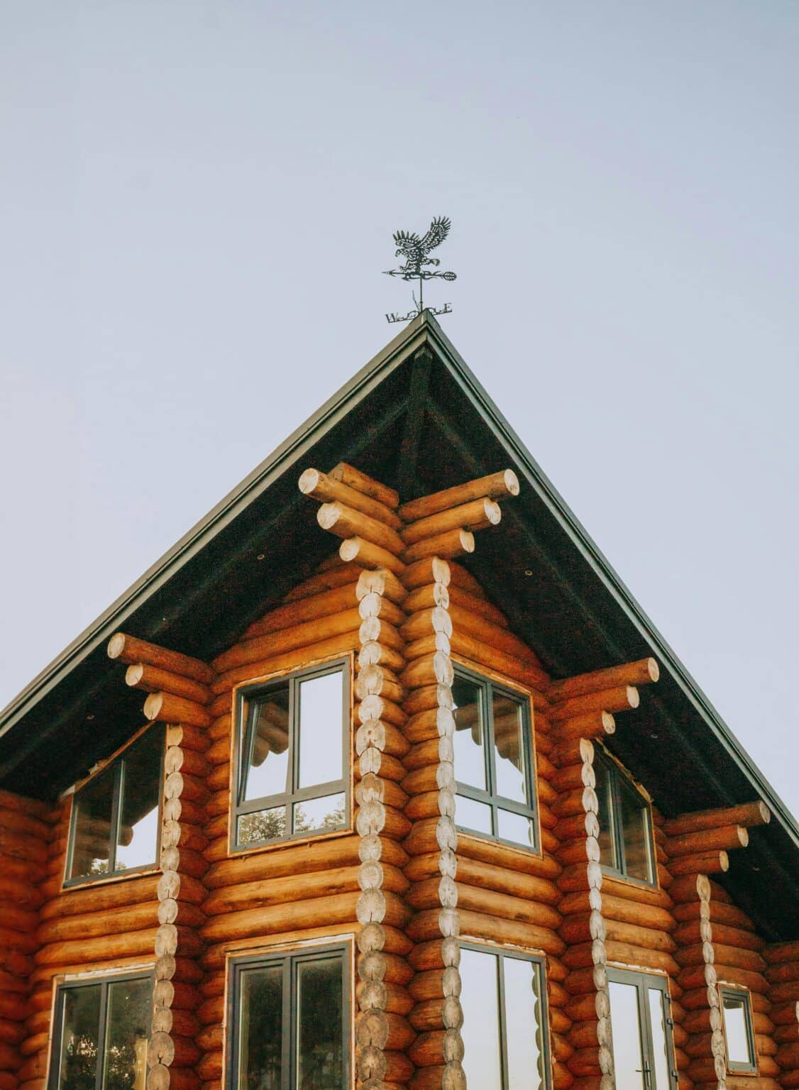pexels-artem-balashevsky-651916235-18176283